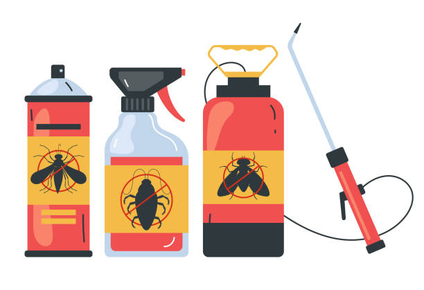 Best Cockroach Control Services  in San Luis, AZ