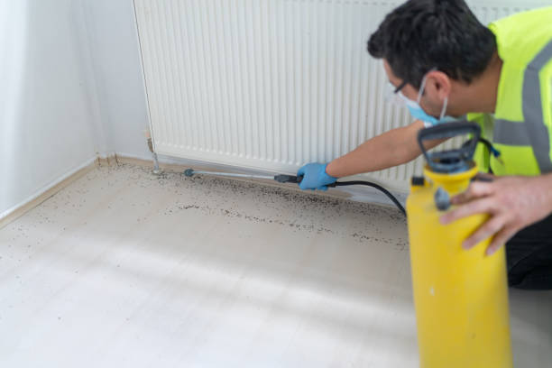 Best Best Pest Control Companies  in San Luis, AZ